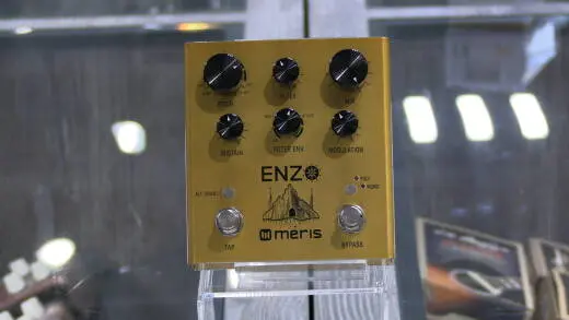MERIS - ENZO